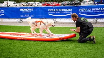 Foto dell'evento