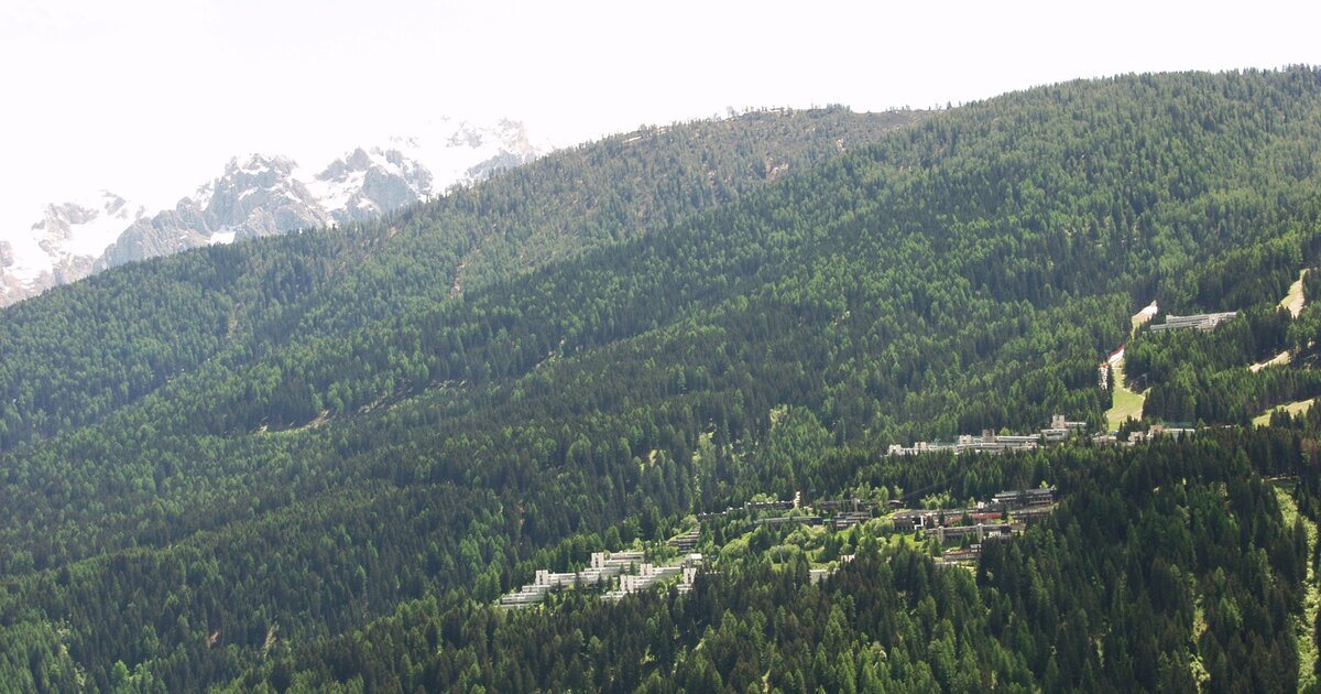 Locandina: Albarè - Madonna delle Cime