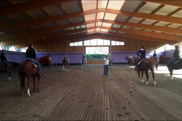 Locandina: Maneggio Monsereno - Monsereno Horses