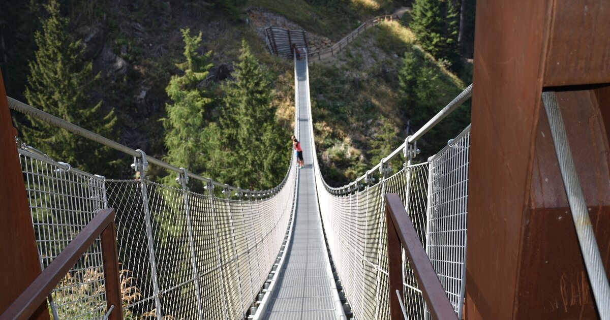 Locandina: Ponte sospeso - Malga Fratte