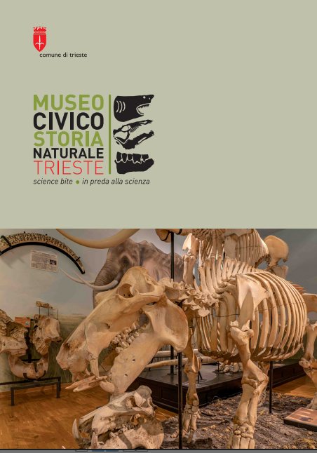 Locandina: Museo Civico di Storia Naturale di Trieste