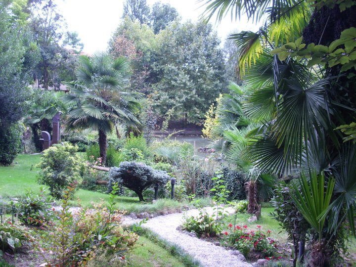 Locandina: Fassina