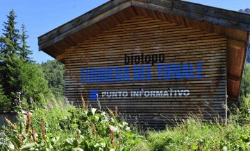 Foto dell'evento