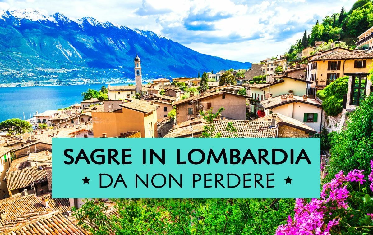 Locandina: Festa Democratica di Vigevano