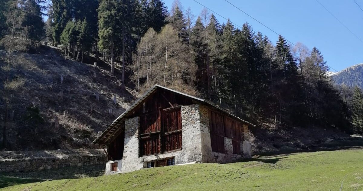 Locandina: Il giro dei masi | Pegaia - Frattaplana