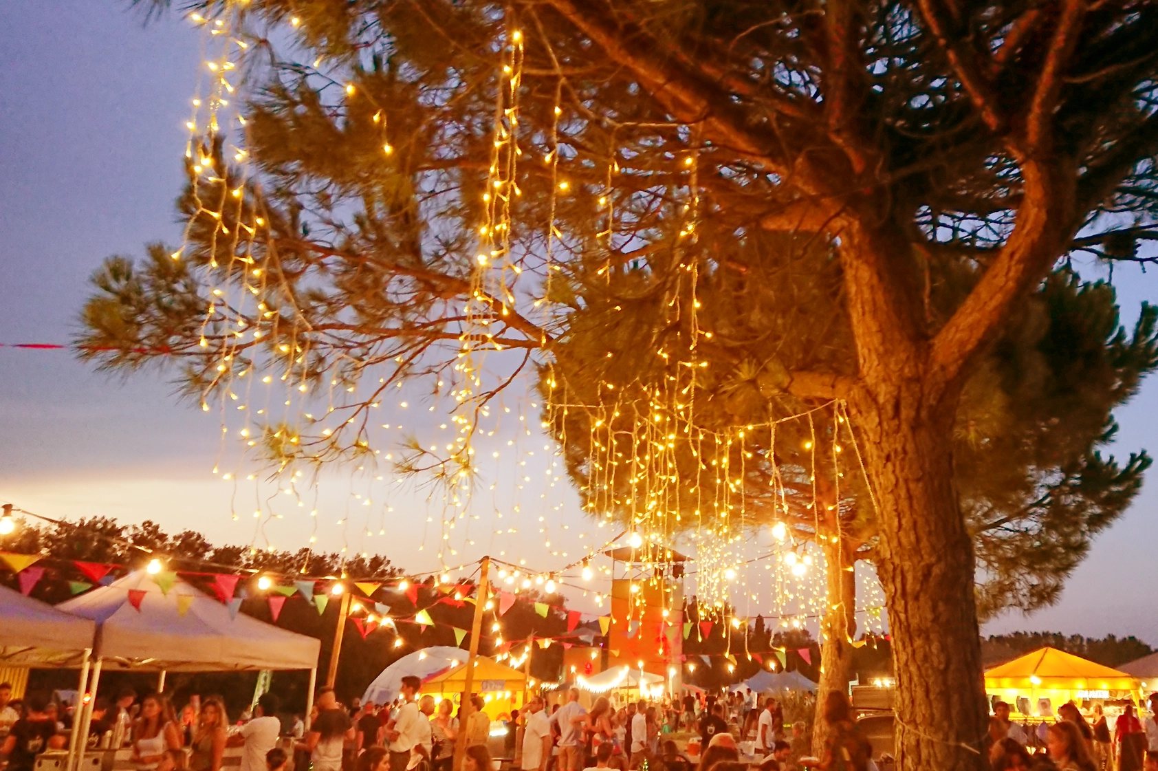 Locandina: Sagra dello Strachin