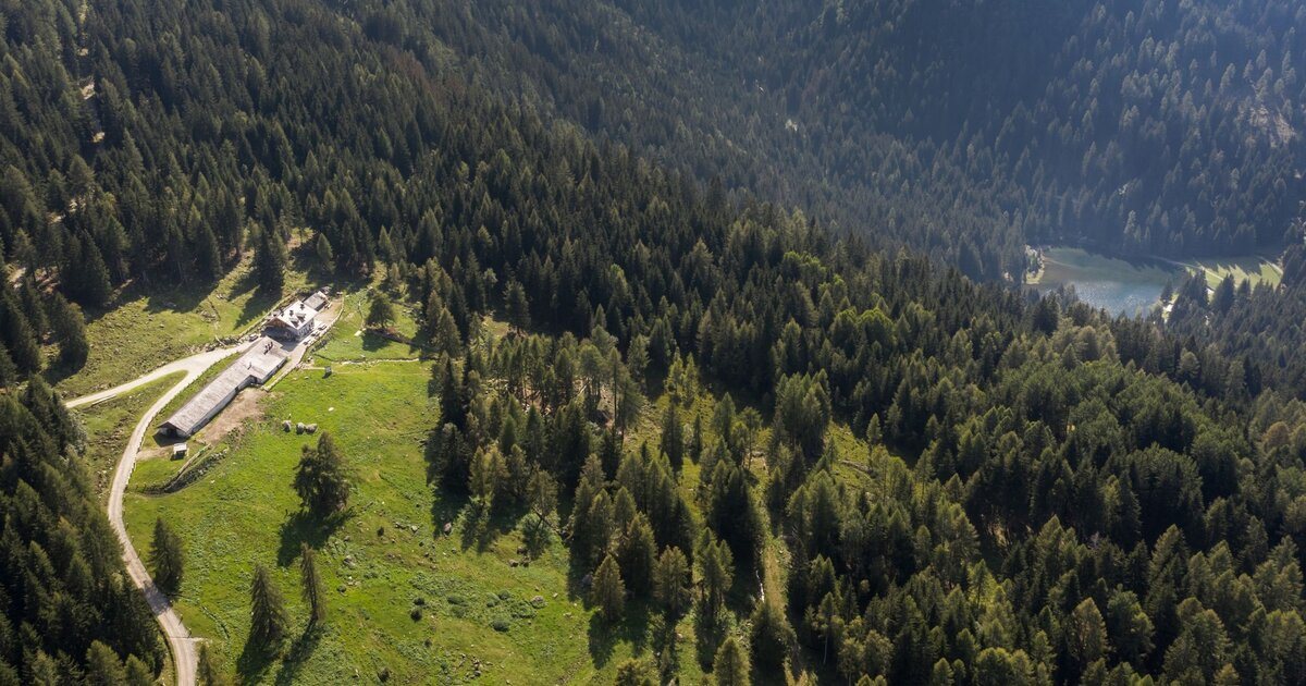 Locandina: Lago dei Caprioli - Malga Alta - Lago Stablo