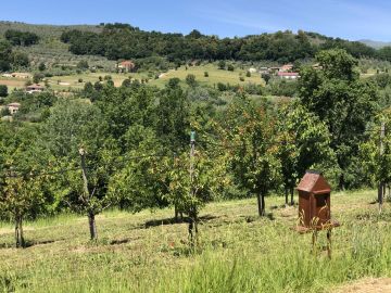 Foto dell'evento