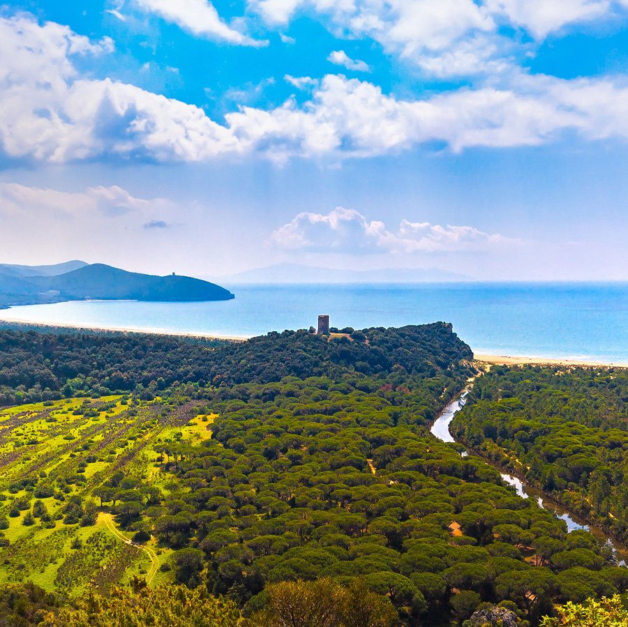 Locandina: Agriturismo La Rondine