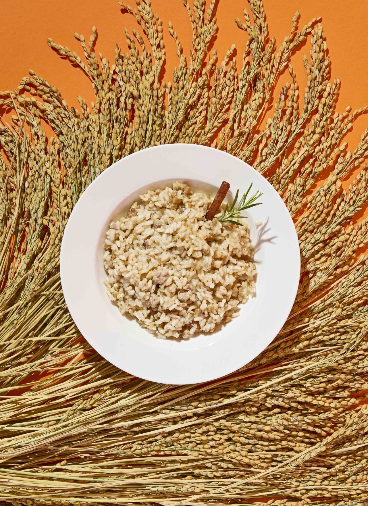 Locandina: 58ª Fiera del Riso di Isola della Scala