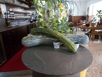 Foto dell'evento
