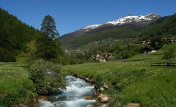 Foto dell'evento