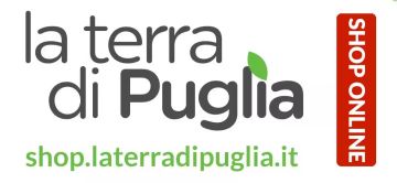 Foto dell'evento
