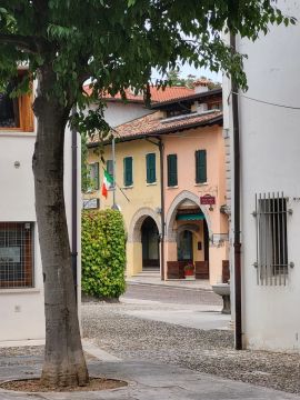Foto dell'evento