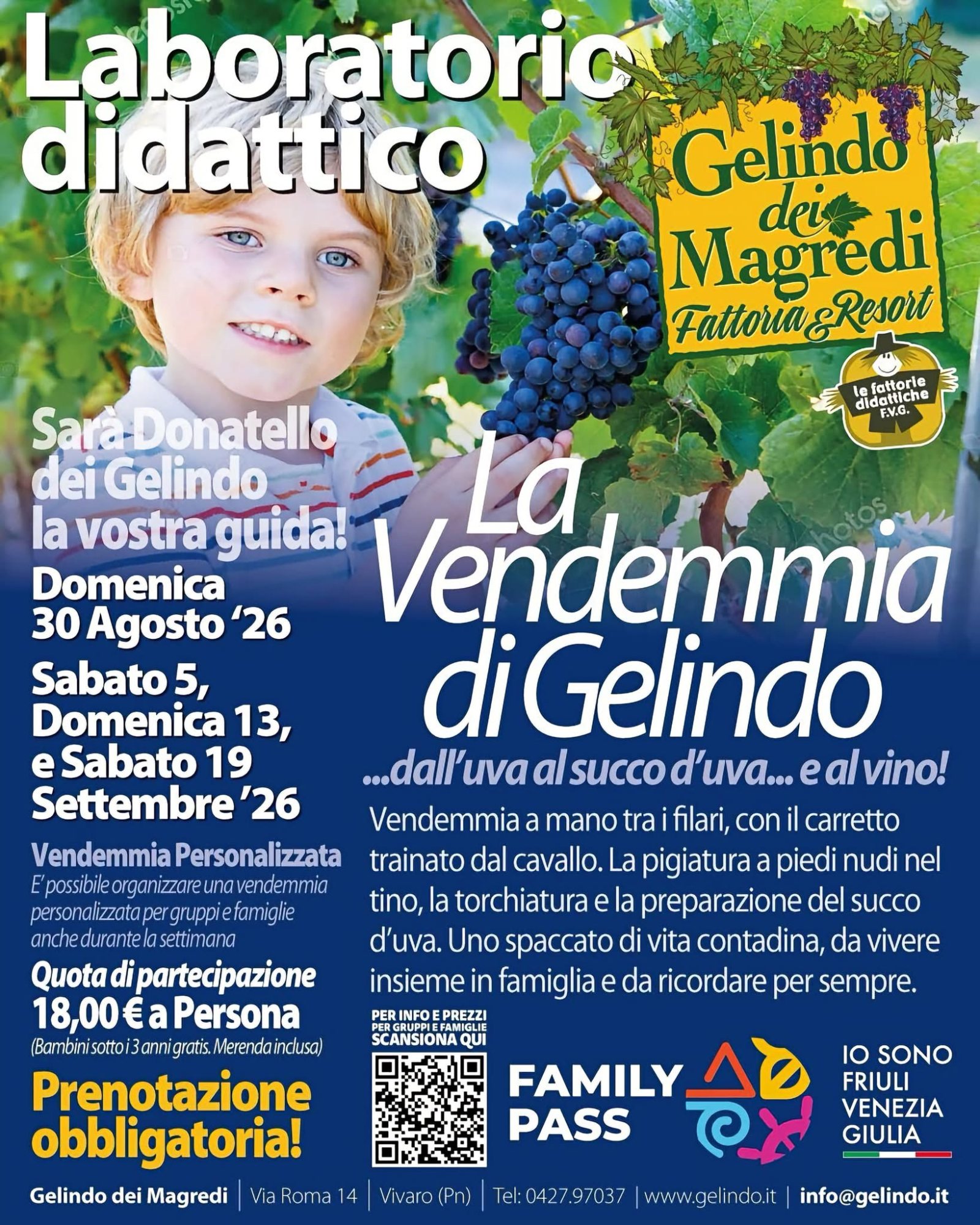 Locandina: La Vendemmia di Gelindo