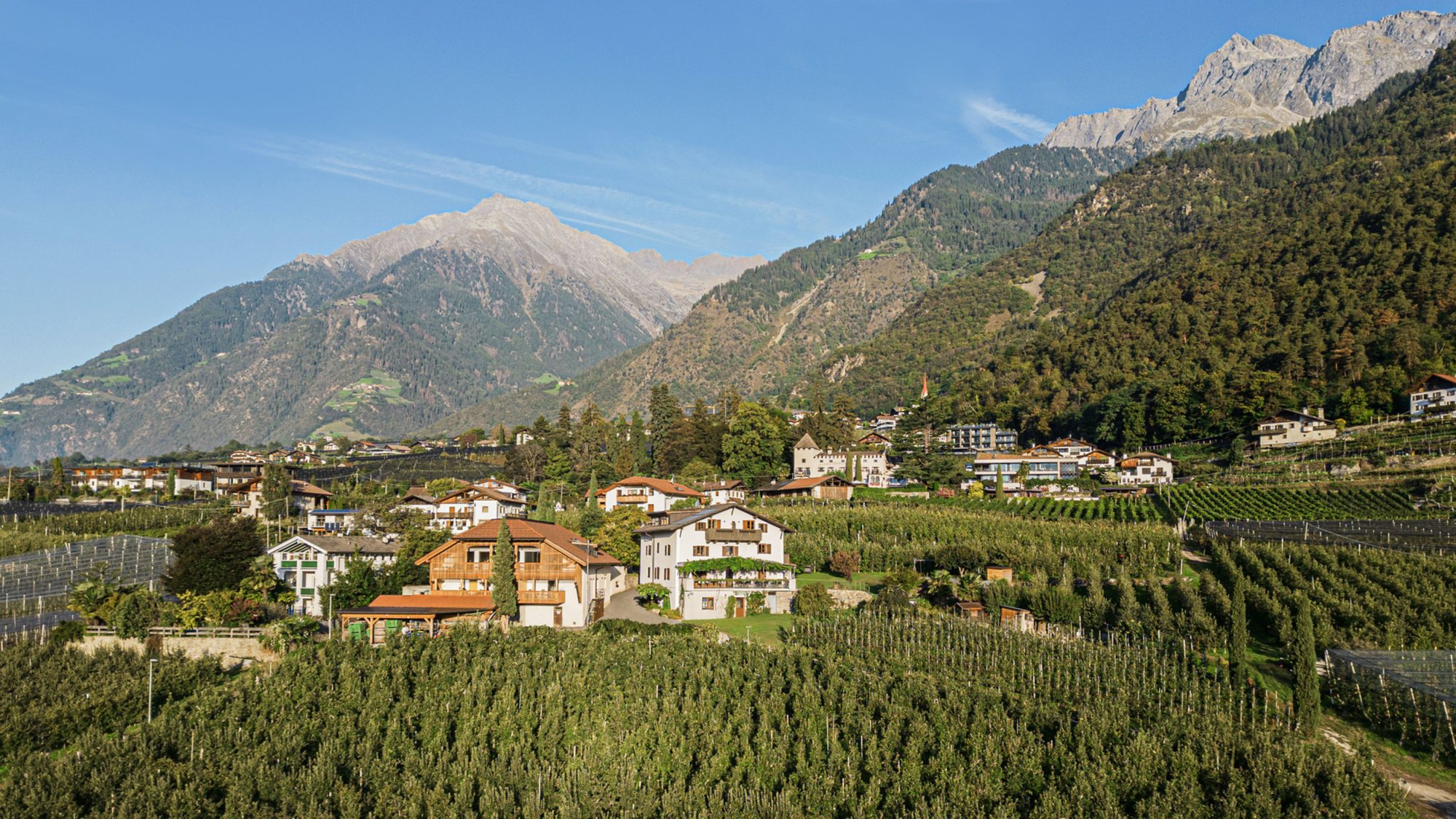 Locandina: Baumgartnerhof - Vacanze in agriturismo